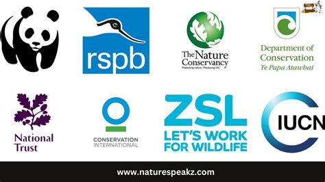 Environmental Organizations: 8 Top Non.